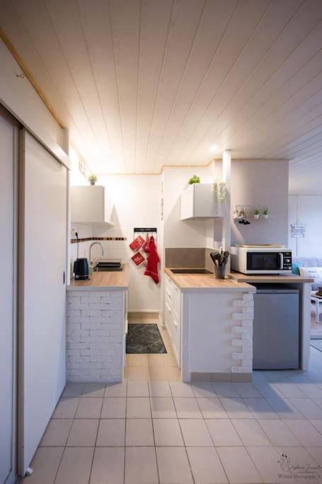 Appartement Le Nid Aux Mouettes La Parée Preneau